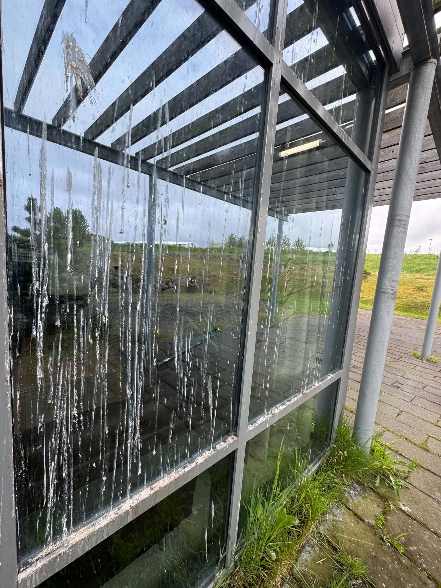 Fyrir hreinsun 5